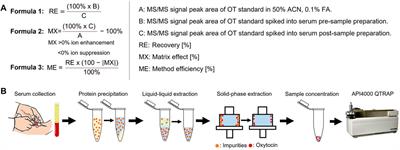 Approaches to Improve the Quantitation of Oxytocin in Human Serum by Mass Spectrometry